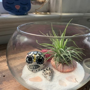 Kimberly added a photo of their purchase