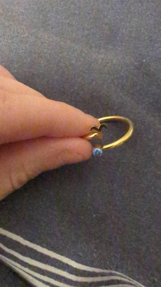 Stainless Steel Zodiac Ring with Birthstone, Constellation Ring, Sign Ring, Personalised Birthday Gift, Christmas Gift