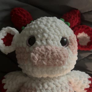 Areli added a photo of their purchase