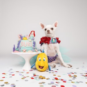 Odalys added a photo of their purchase