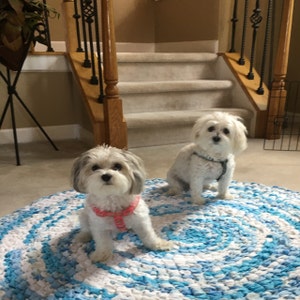 6'x5' Rainbow Area Rug MADE AFTER PURCHASE Hand - Etsy