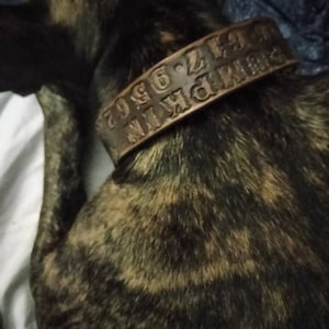 Kari added a photo of their purchase