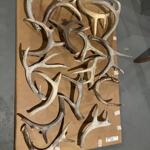 Alyssa ha añadido una foto de su compra