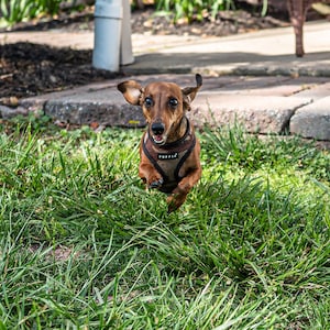 Norine added a photo of their purchase