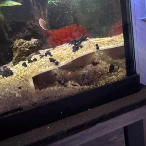 Briana さんが購入した商品の写真を追加しました