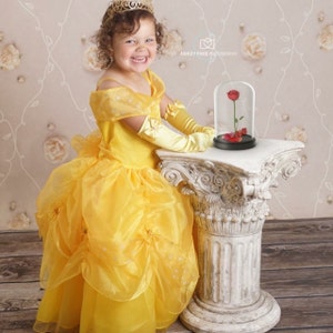 Princess Belle Dress for Birthday Costume or Photo Shoot Belle Dress ...
