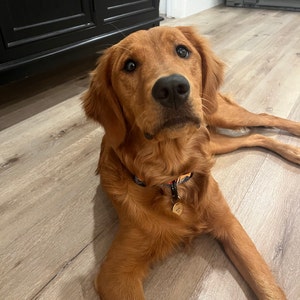 Bailey added a photo of their purchase