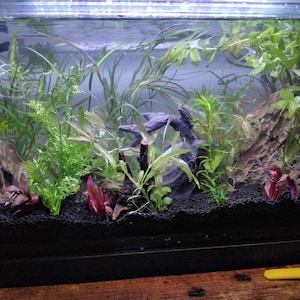 reuben added a photo of their purchase