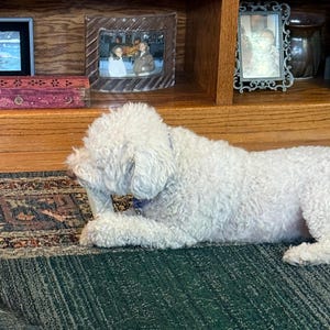 Karyn added a photo of their purchase