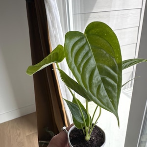 Sage added a photo of their purchase