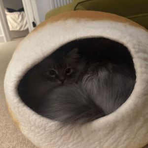 Jane added a photo of their purchase