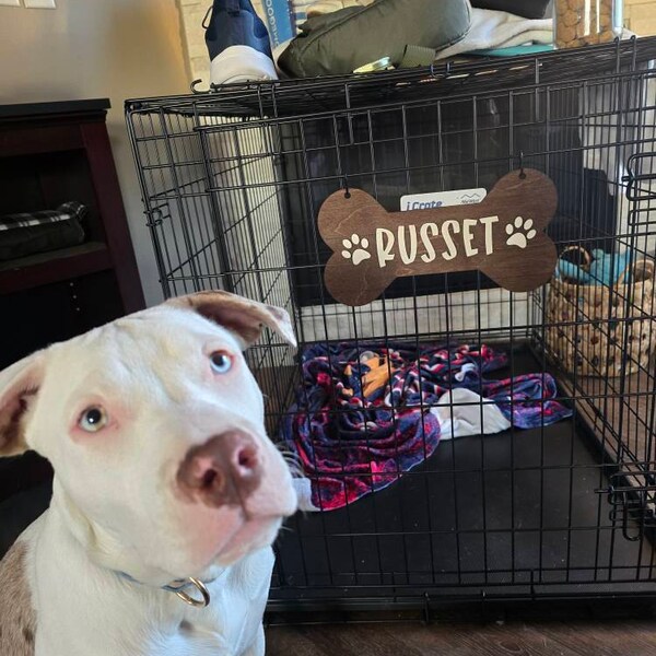Personalized Wood Crate Sign /personalized Pet Gift / Custom Pet Name ...