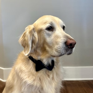 Alexa heeft een foto van de aankoop toegevoegd