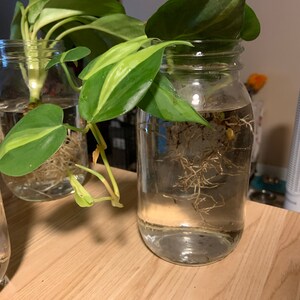 Bryce L added a photo of their purchase