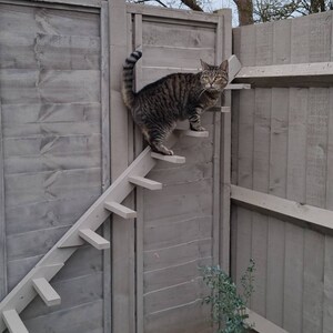 Cat Ladder Wall or Fence Mounted Pet Steps Furniture Tower Great