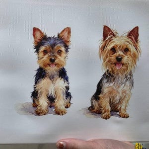 Leslie ha añadido una foto de su compra