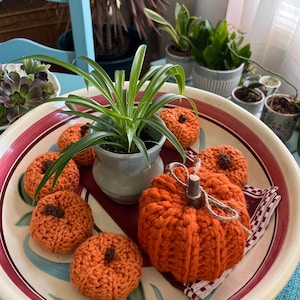 Patricia added a photo of their purchase