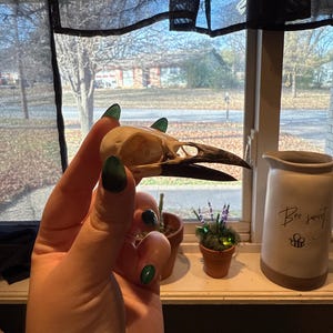 Emily added a photo of their purchase