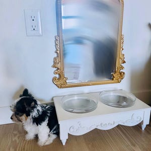 Quanease added a photo of their purchase
