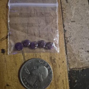 Terry added a photo of their purchase