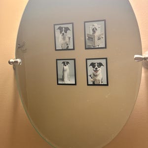 Anne added a photo of their purchase