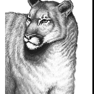 Karen added a photo of their purchase