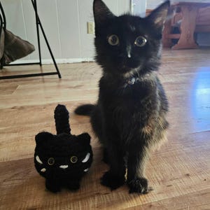 Elizabeth added a photo of their purchase