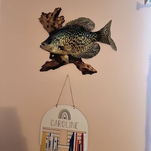 nicholas added a photo of their purchase
