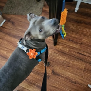 Ruth added a photo of their purchase