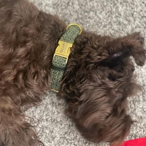 Yvette added a photo of their purchase