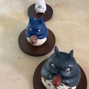 Teri さんが購入した商品の写真を追加しました
