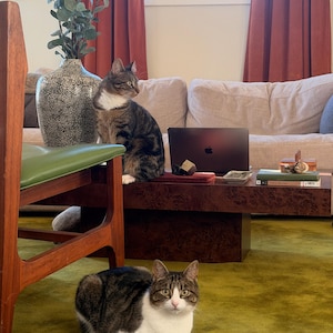 Archie added a photo of their purchase