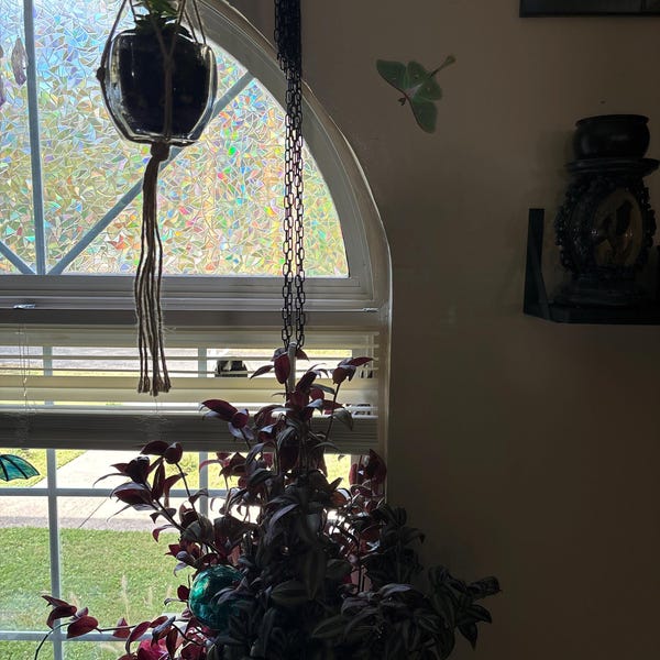 ONE Large Monarch Butterfly Migration Stickers - Wall Art Decor -for ...