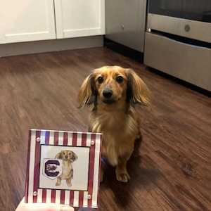 bailey a ajouté une photo de son achat