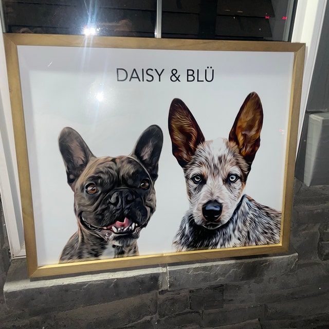 Custom Pet Portraits