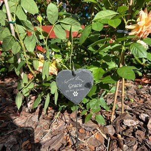 Margaret added a photo of their purchase