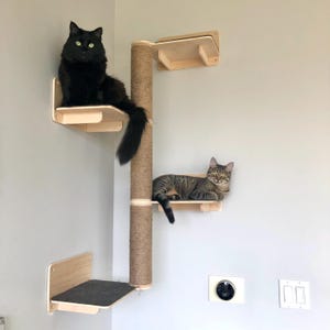 Karin added a photo of their purchase