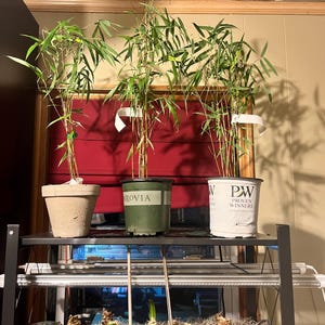 Denise added a photo of their purchase