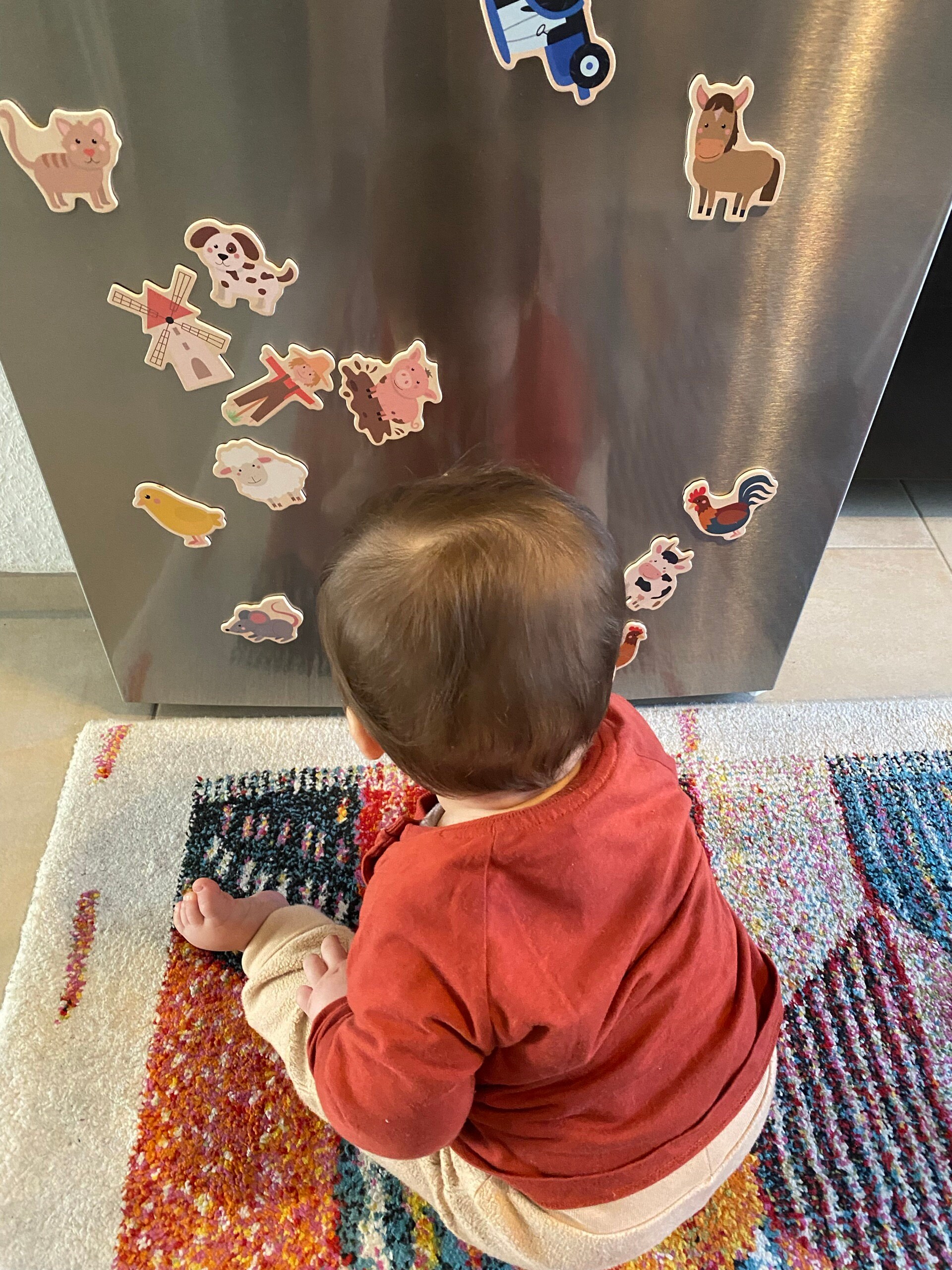 Fridge magnets: farm, board magnets, fridge magnets, wooden magnets, gift for children, birthday gift, children&#39;s activity