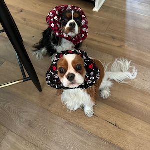 Janice added a photo of their purchase