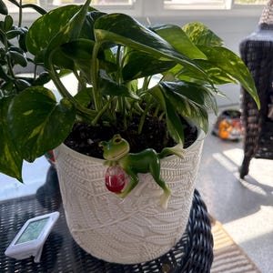 Etsy buyer added a photo of their purchase