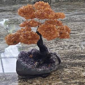 Norman added a photo of their purchase