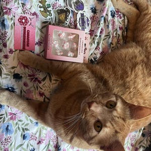 Etsy buyer added a photo of their purchase