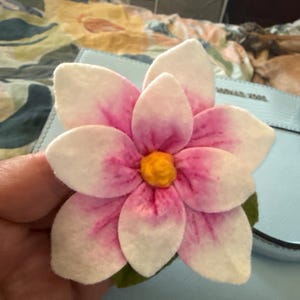 Dorothy added a photo of their purchase