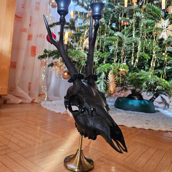 REAL Jackalope Taxidermy Mount: Rabbit Head With Horns for Alternative ...