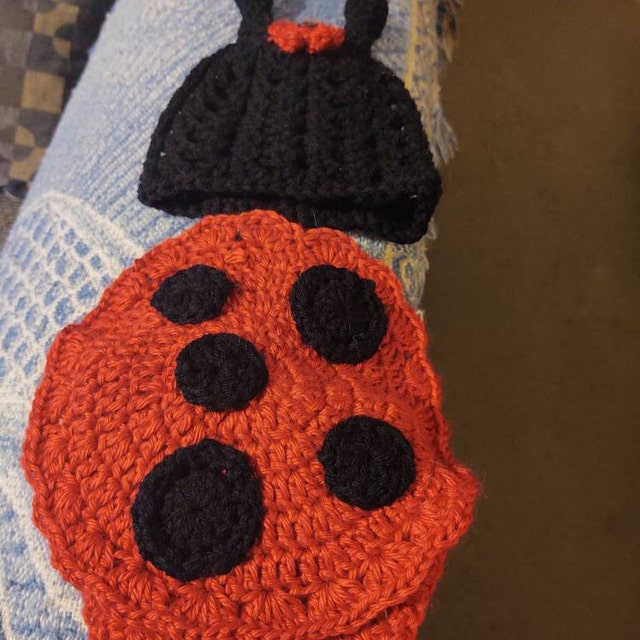 A customer's finished Ladybug and Bunny Newborn Crochet Patterns
