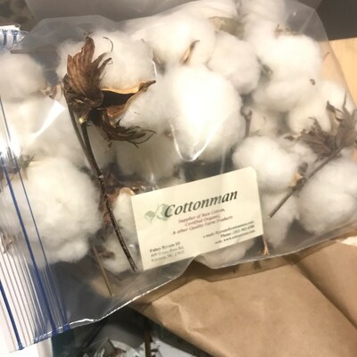 25 High Quality 1 NC Cotton Bolls Cotton Balls Etsy