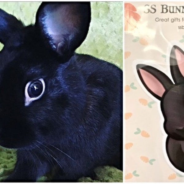 Black Bunny Sticker; Black Rabbit Sticker, Black Bunny Gift, Black ...