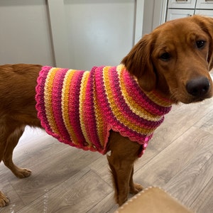 Jen added a photo of their purchase