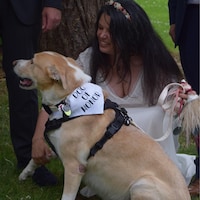 LABRADOR BLACK - segno con cane, piatto di legno, unico fronte da deco, decorazione per la casa
